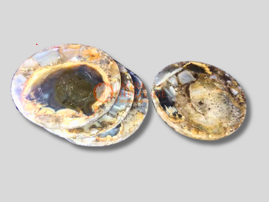 Wild Agate Round Set of 4 Pcs Tea Coasters for Gift